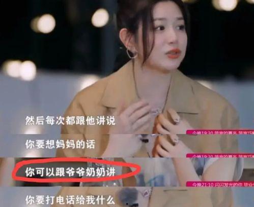 刘大锤爆料最新白鹿,白鹿新动态，神秘事件引关注